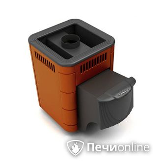 Дровяная банная печь TMF Оса Carbon терракота дверь антрацит в Якутске