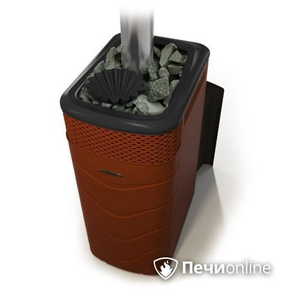 Дровяная банная печь TMF Гейзер XXL 2017 Inox Витра закрытая каменка терракота в Якутске